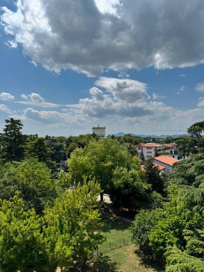 Vista