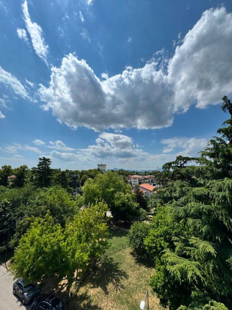 Vista
