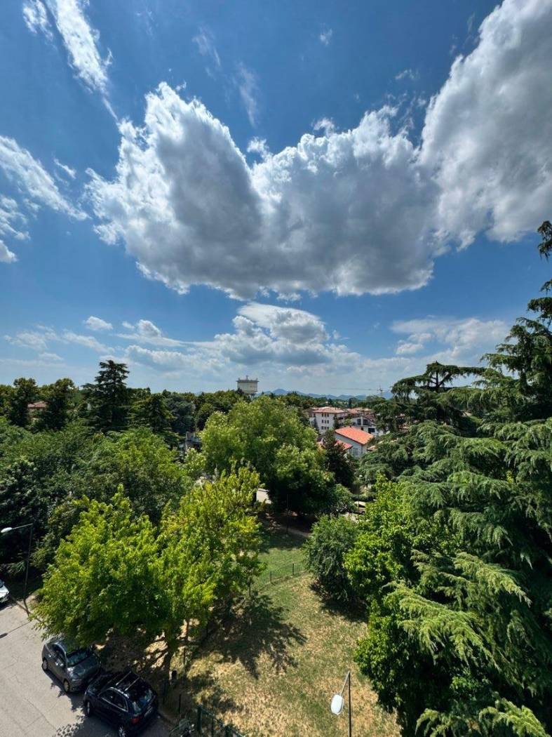 Vista