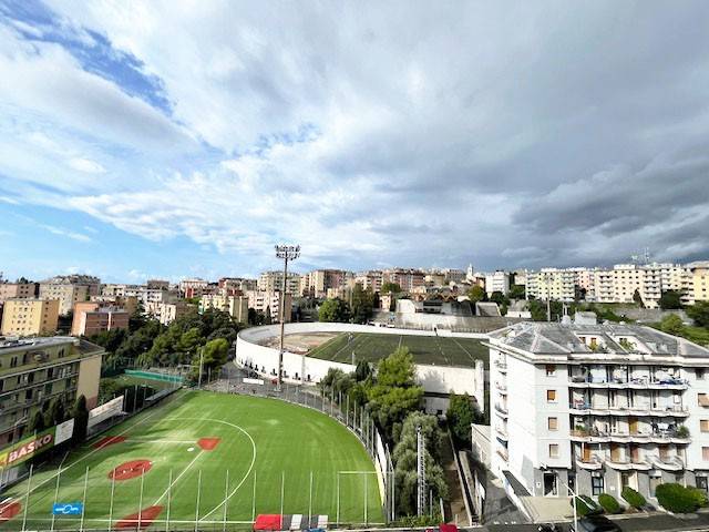 Vista