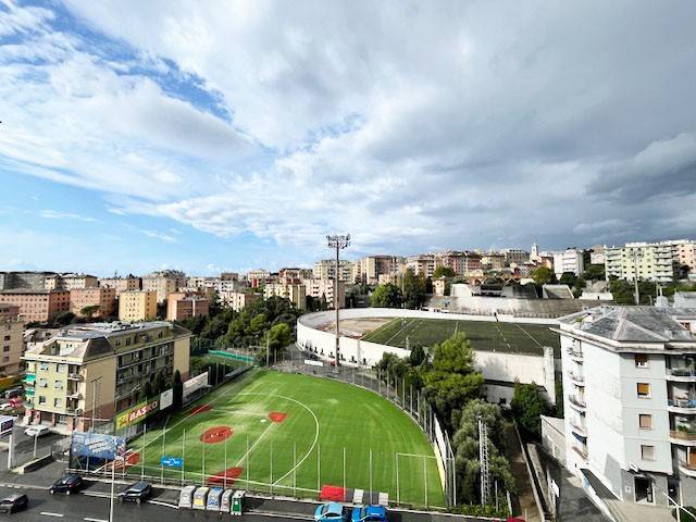 Vista