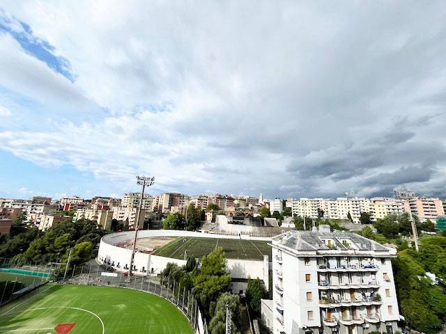 Vista