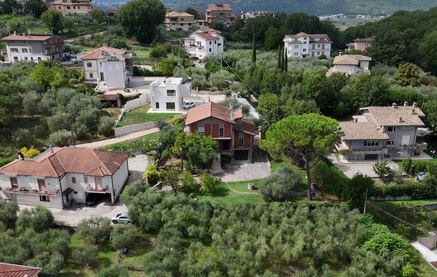 Vista