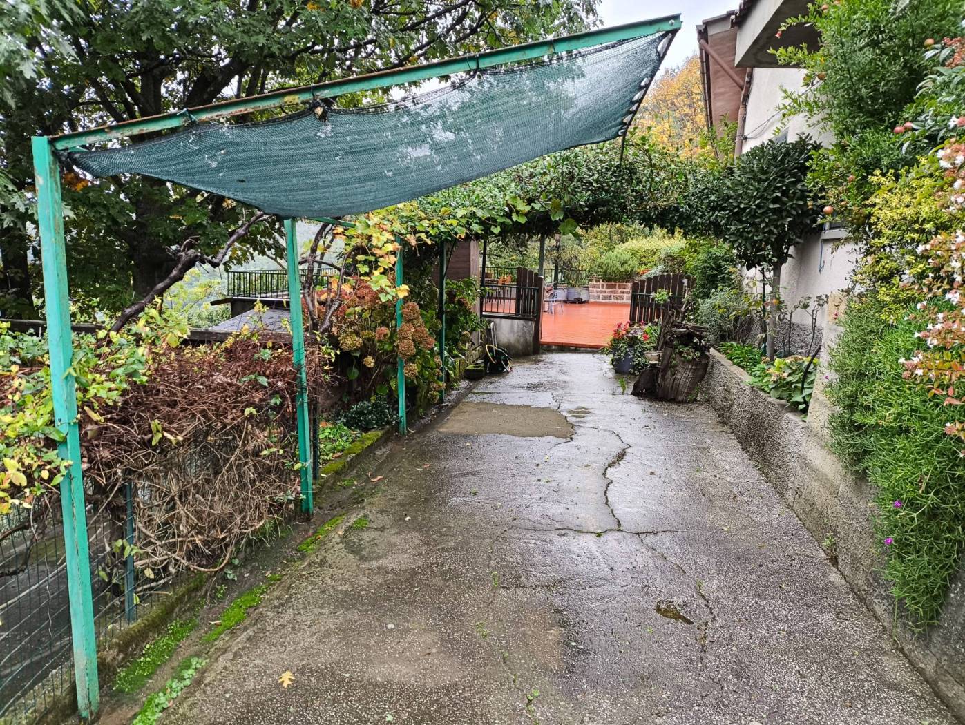 Giardino