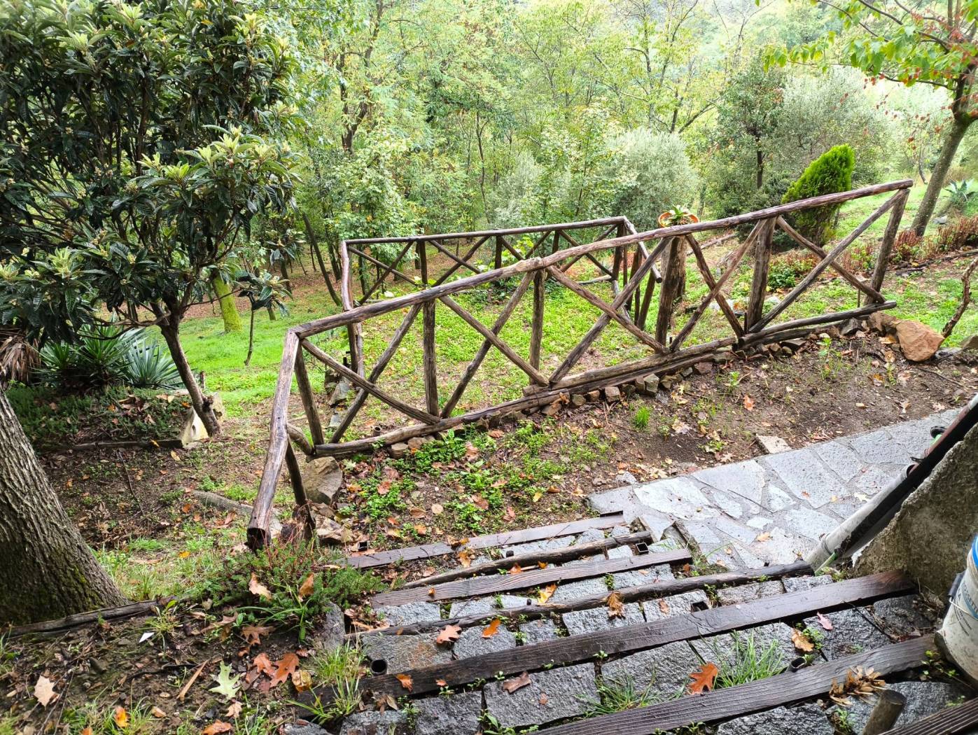 Terreno