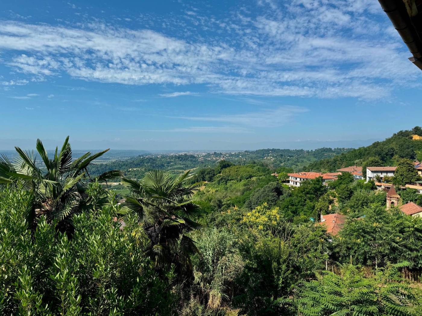 Vista