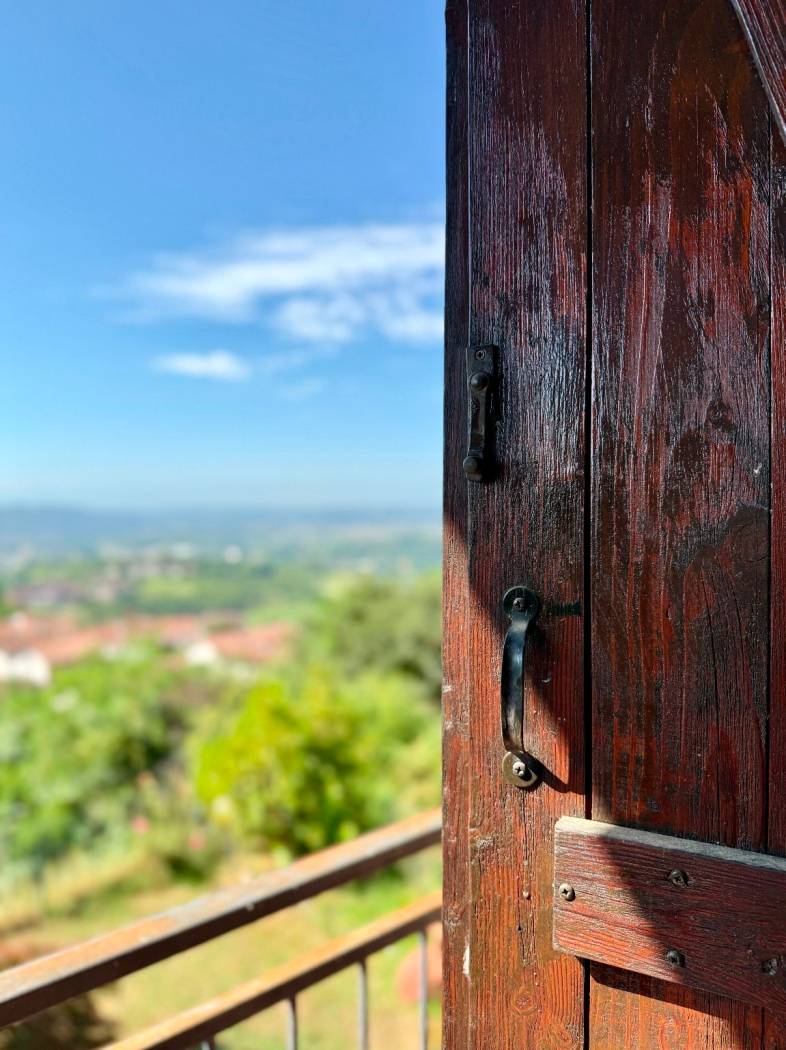 Vista