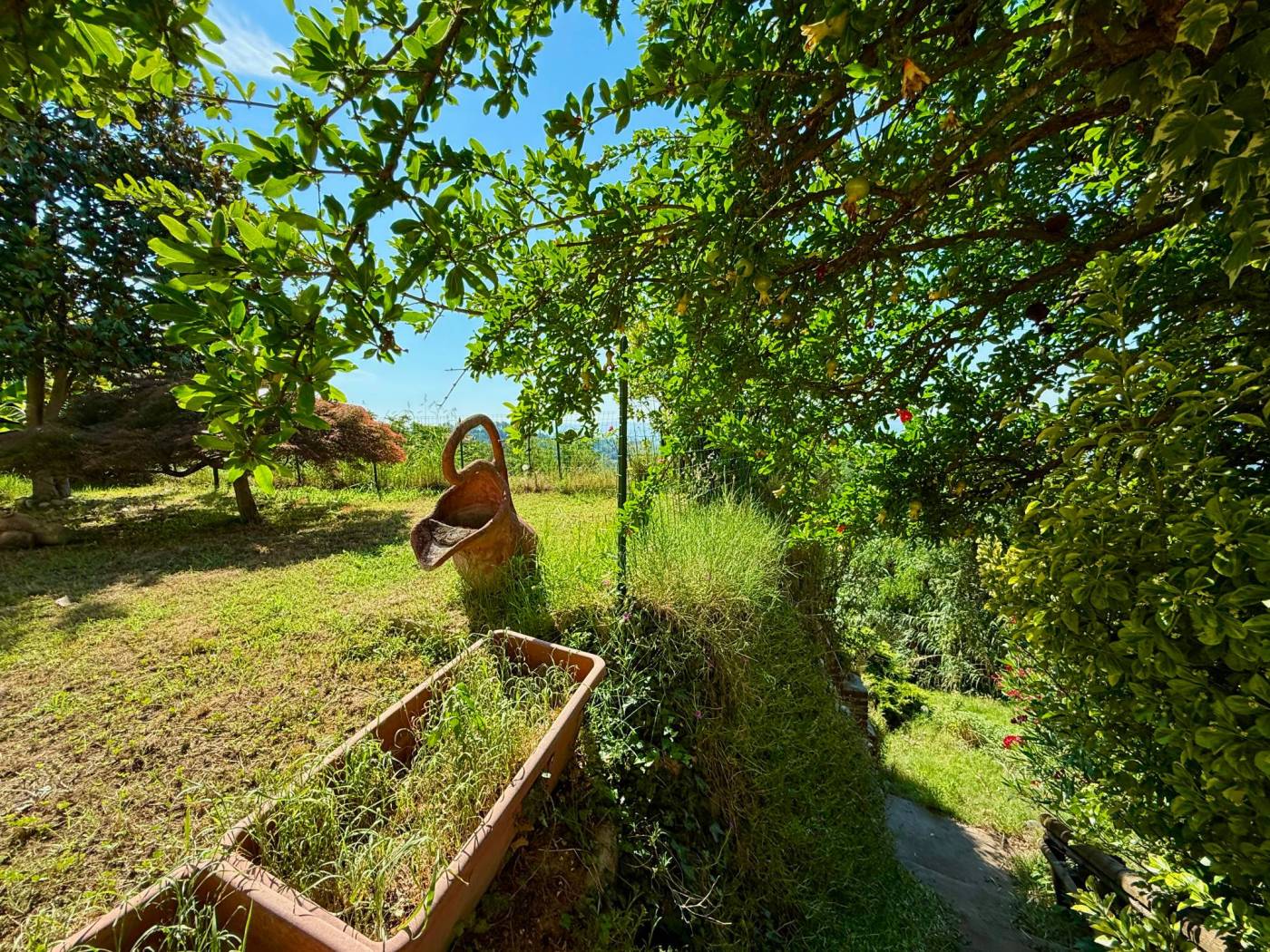 Giardino
