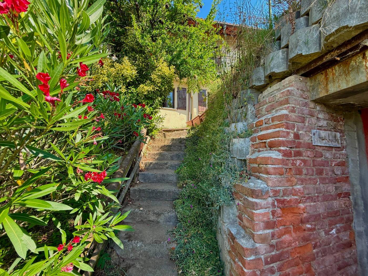 Giardino