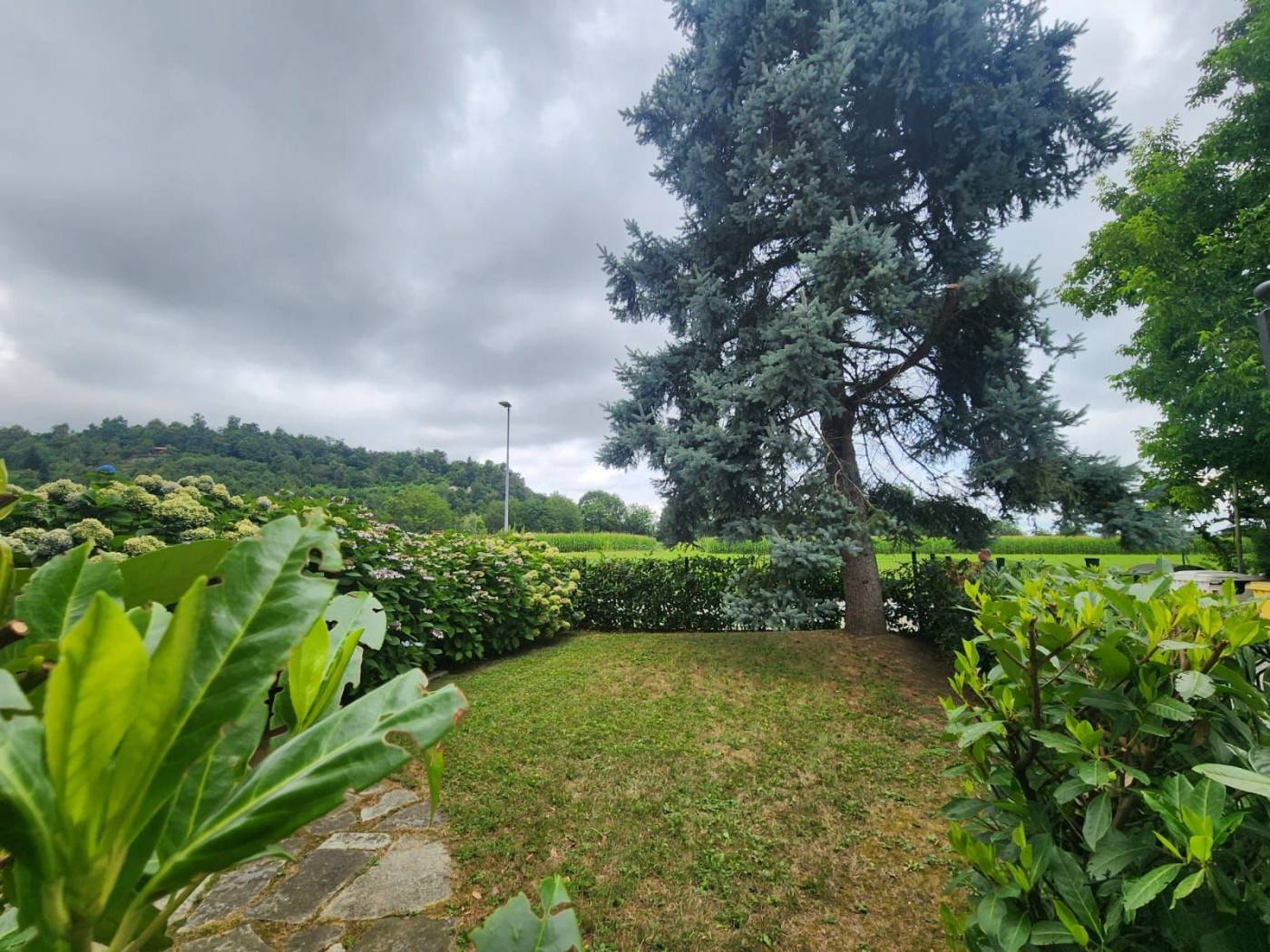 Giardino