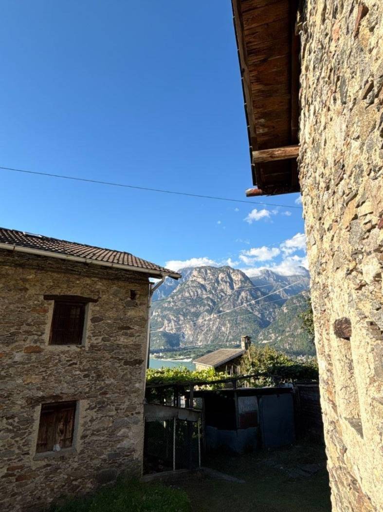 Vista