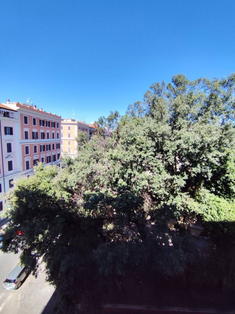 Vista