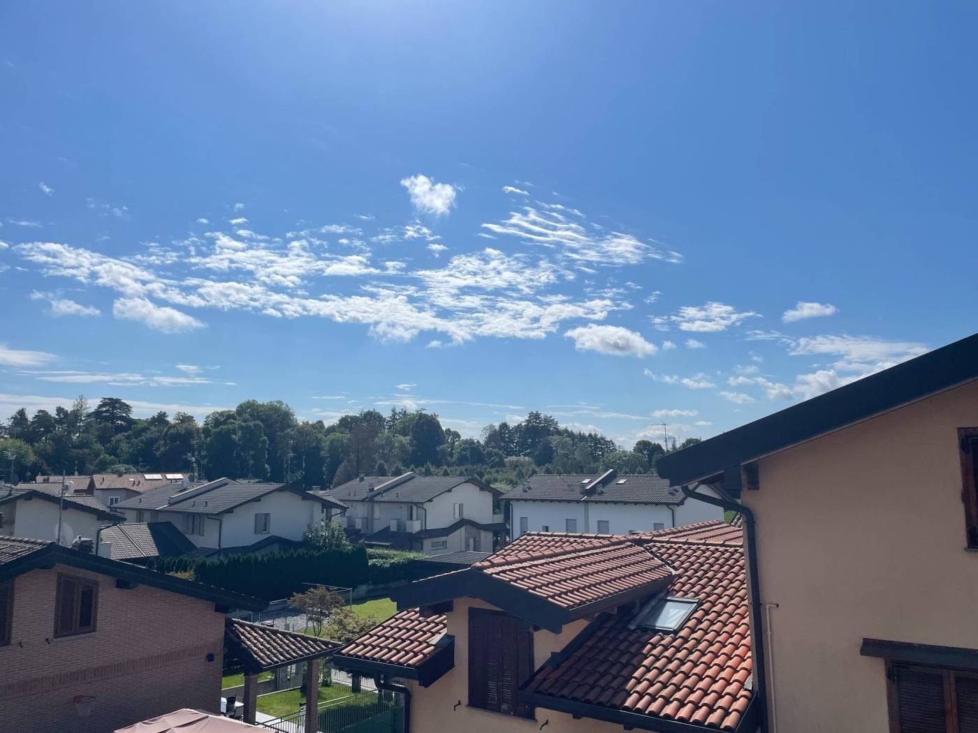 Vista