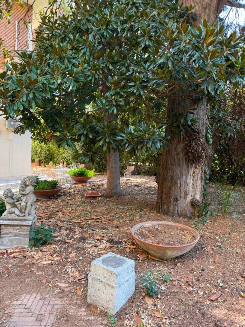 Giardino