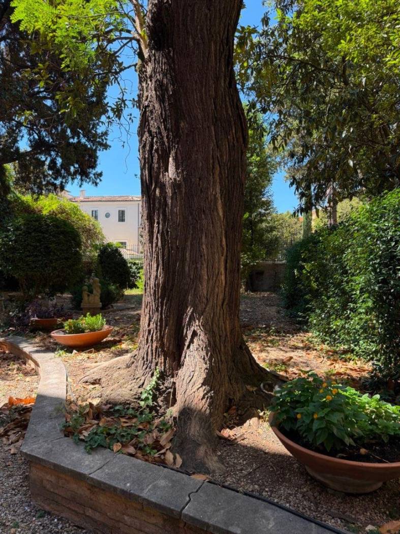 Giardino