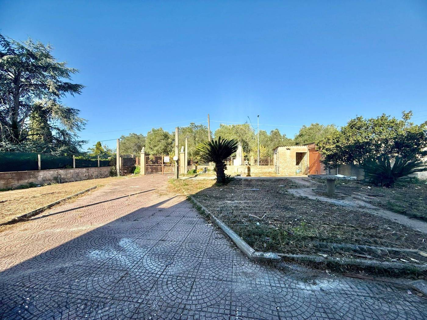 Terreno