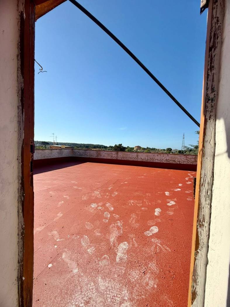 Vista