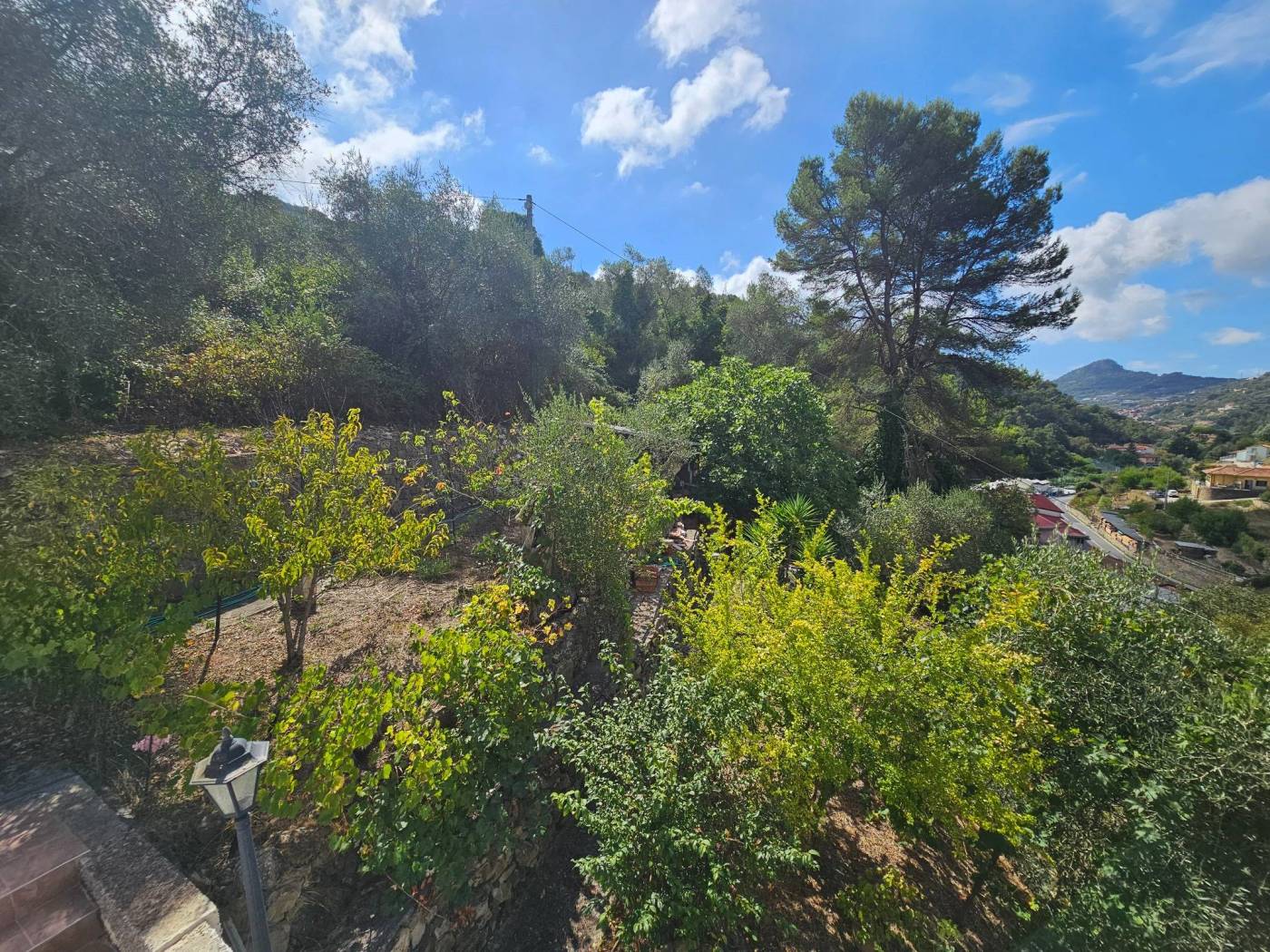 Terreno