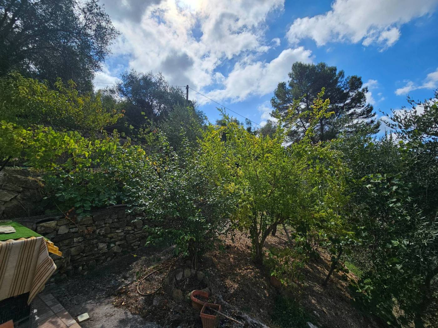 Terreno