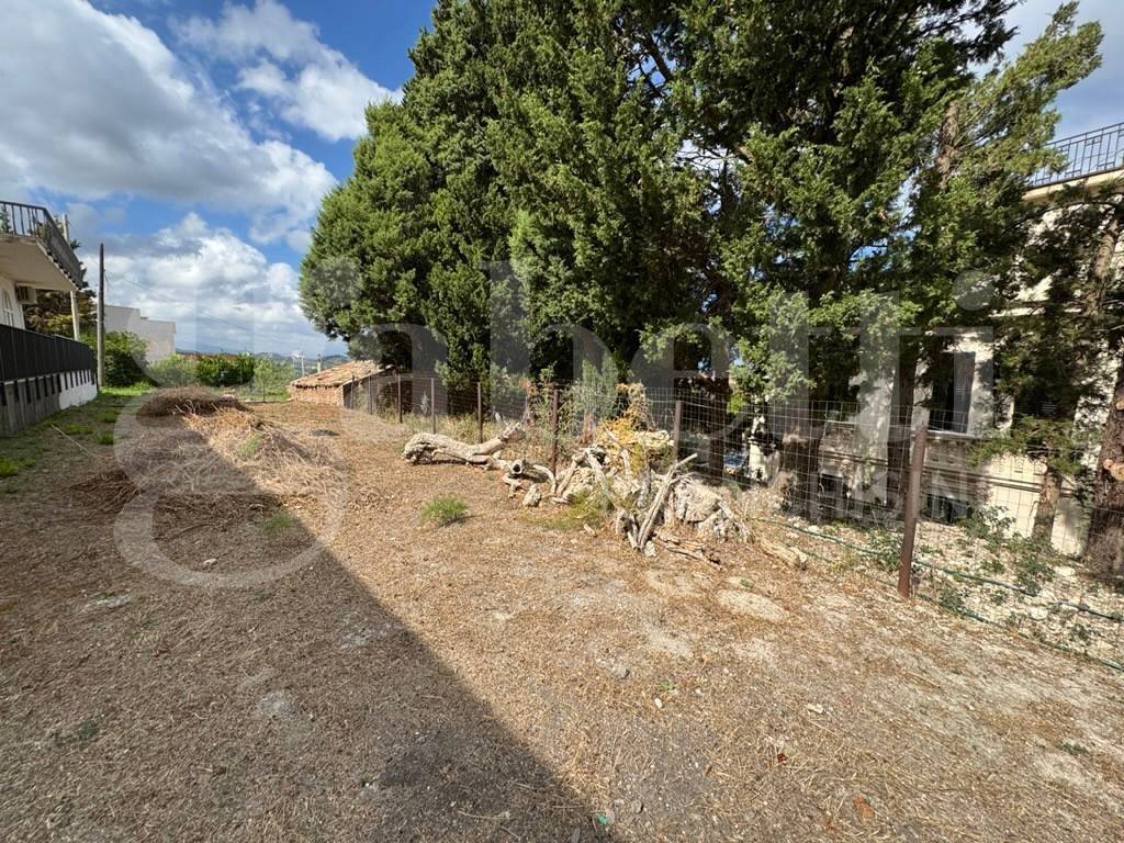 Terreno