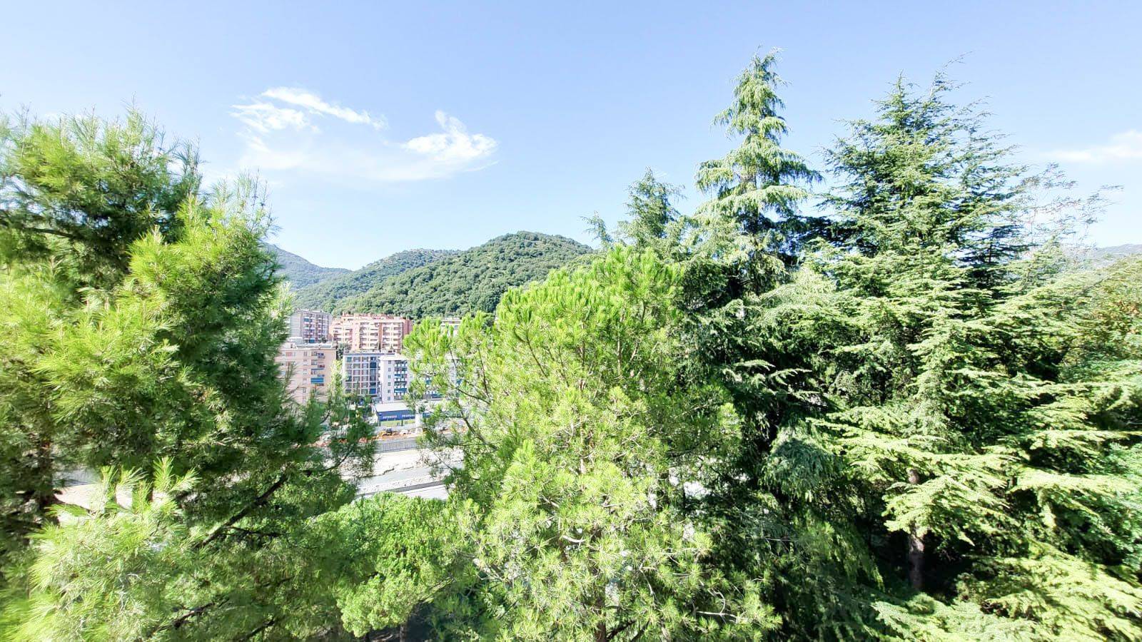 Vista