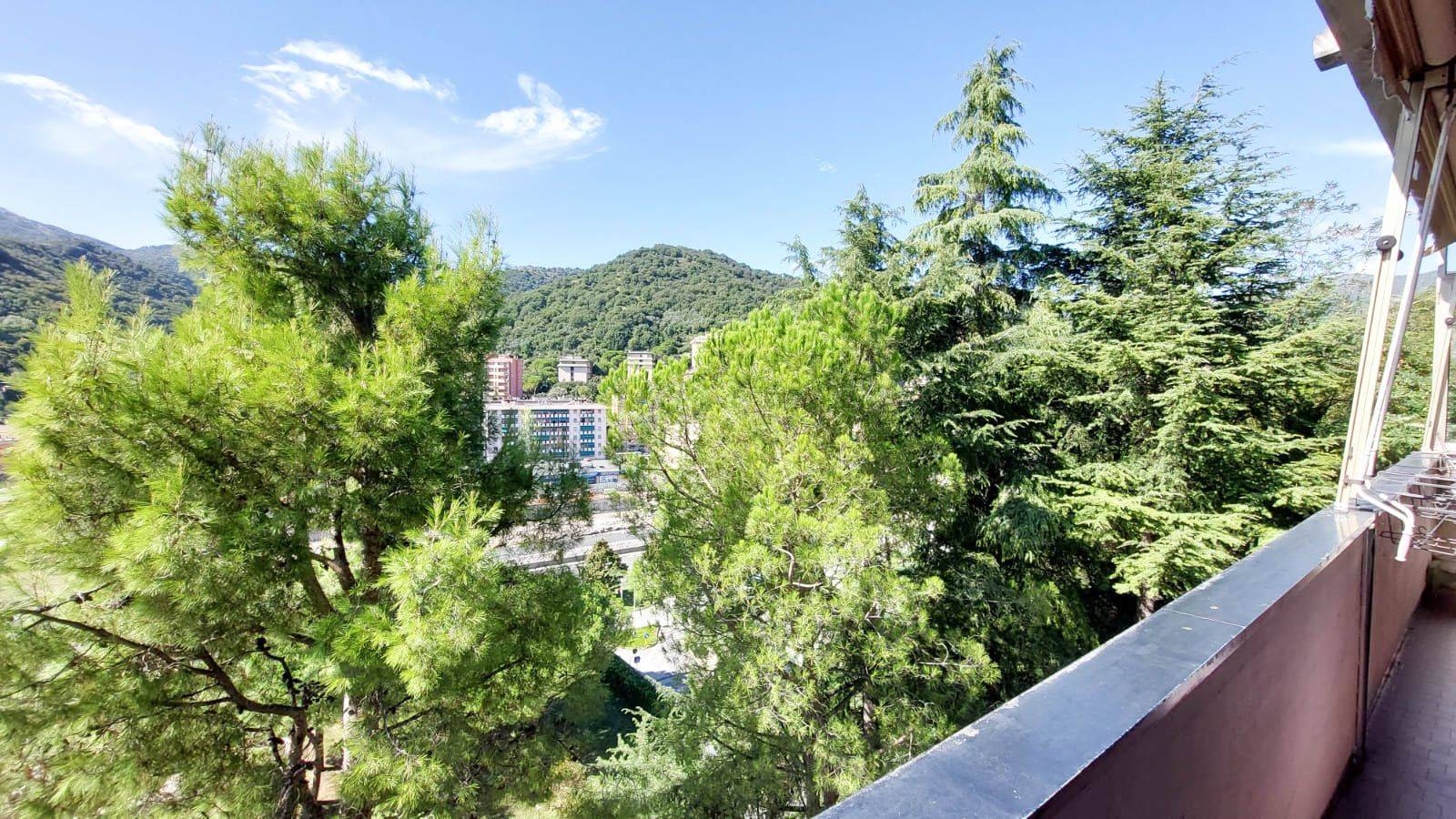 Vista