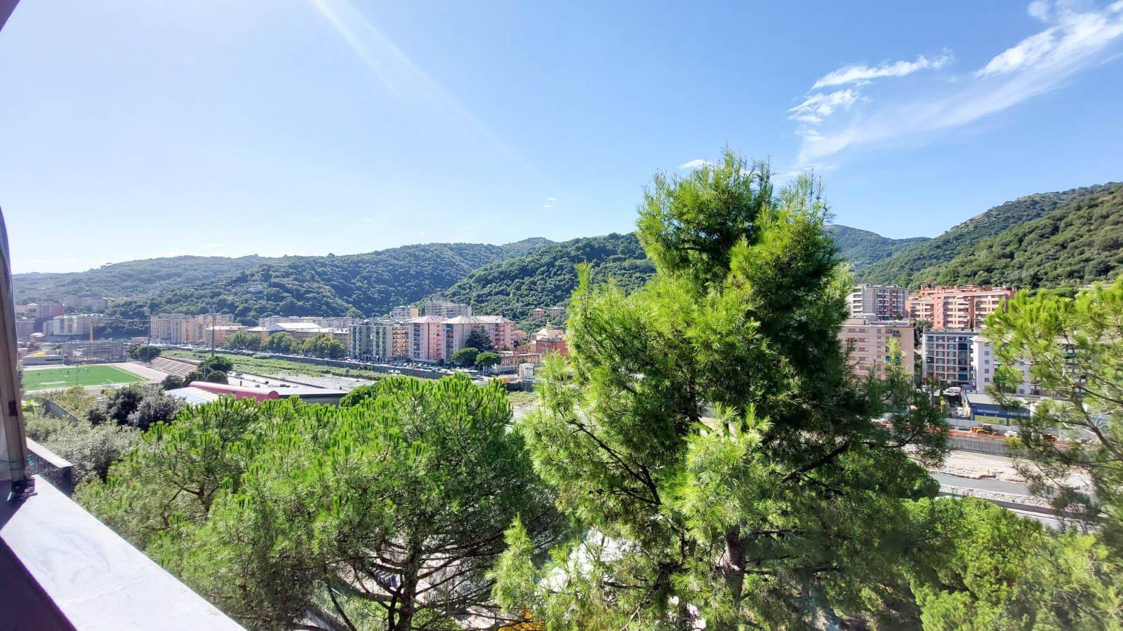 Vista