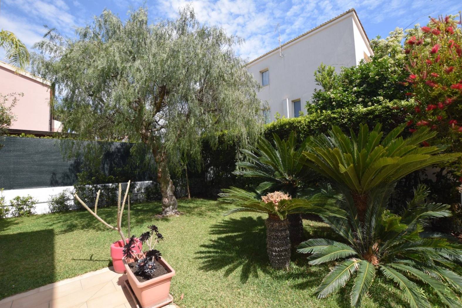 Giardino