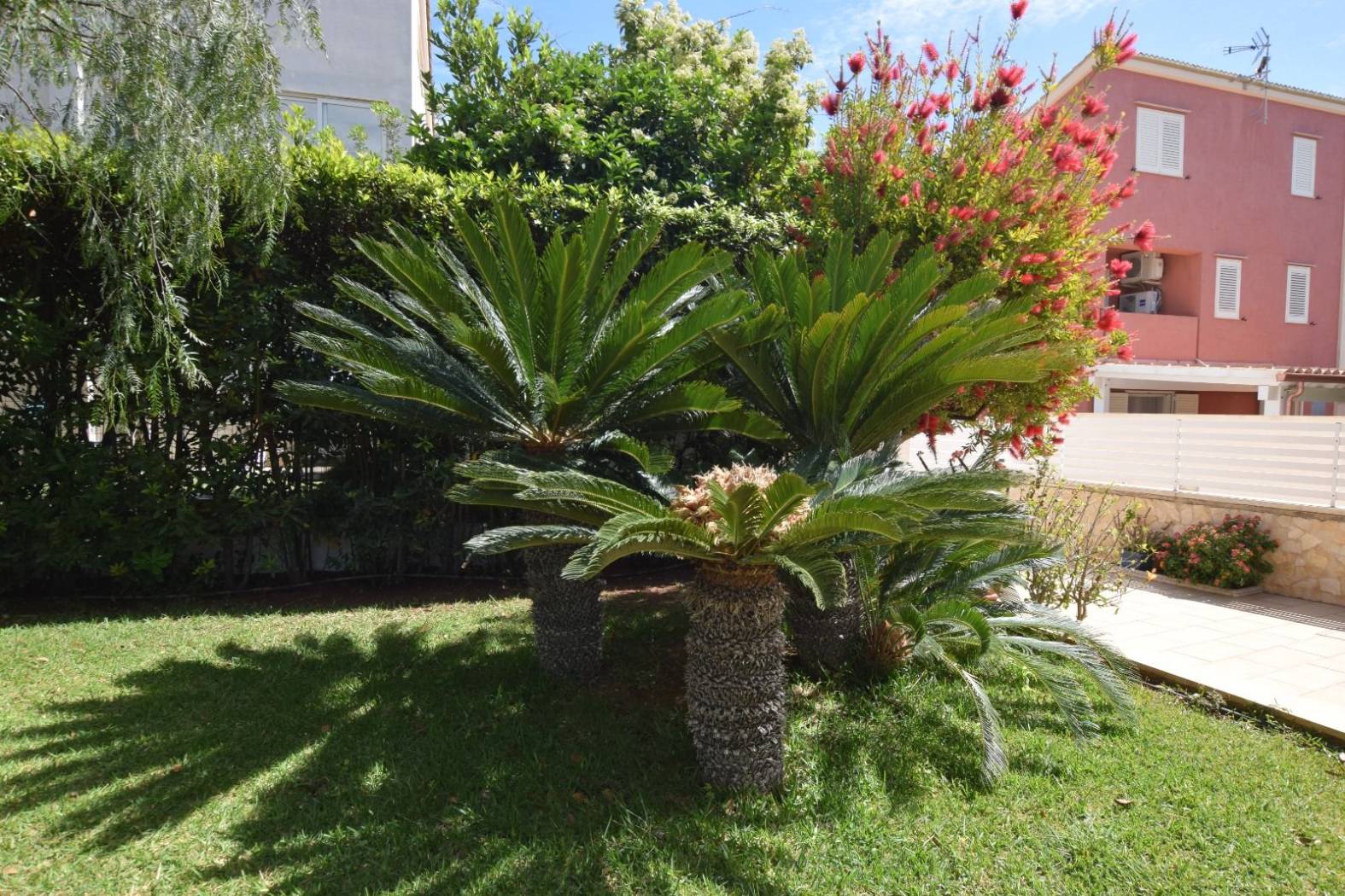 Giardino