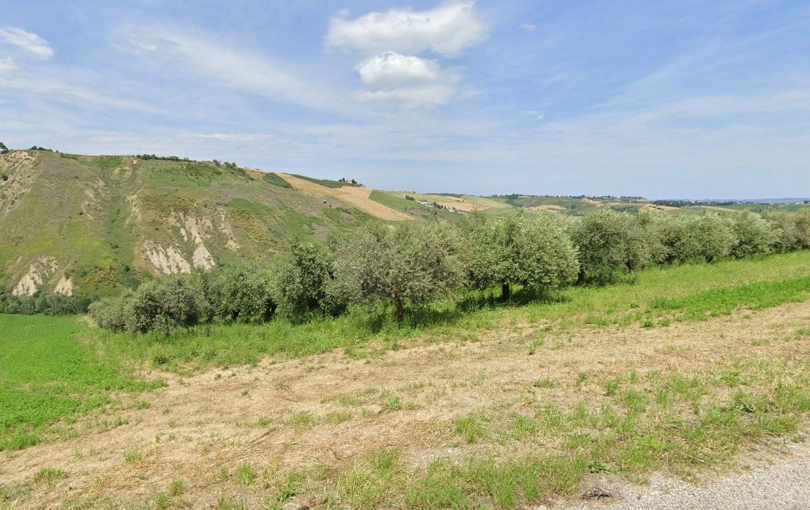 Terreno