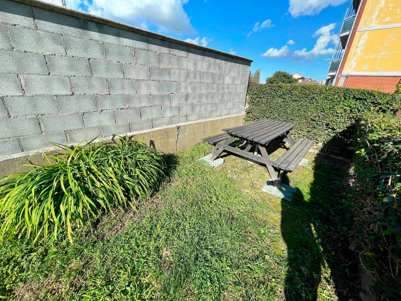 Giardino