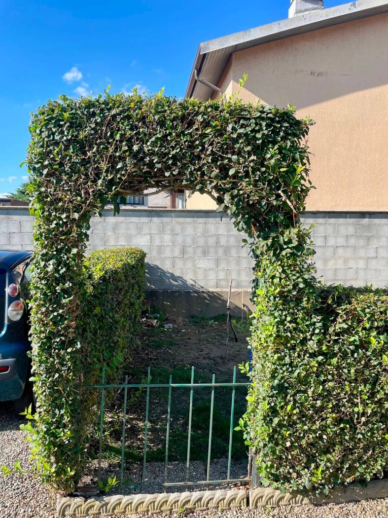 Giardino