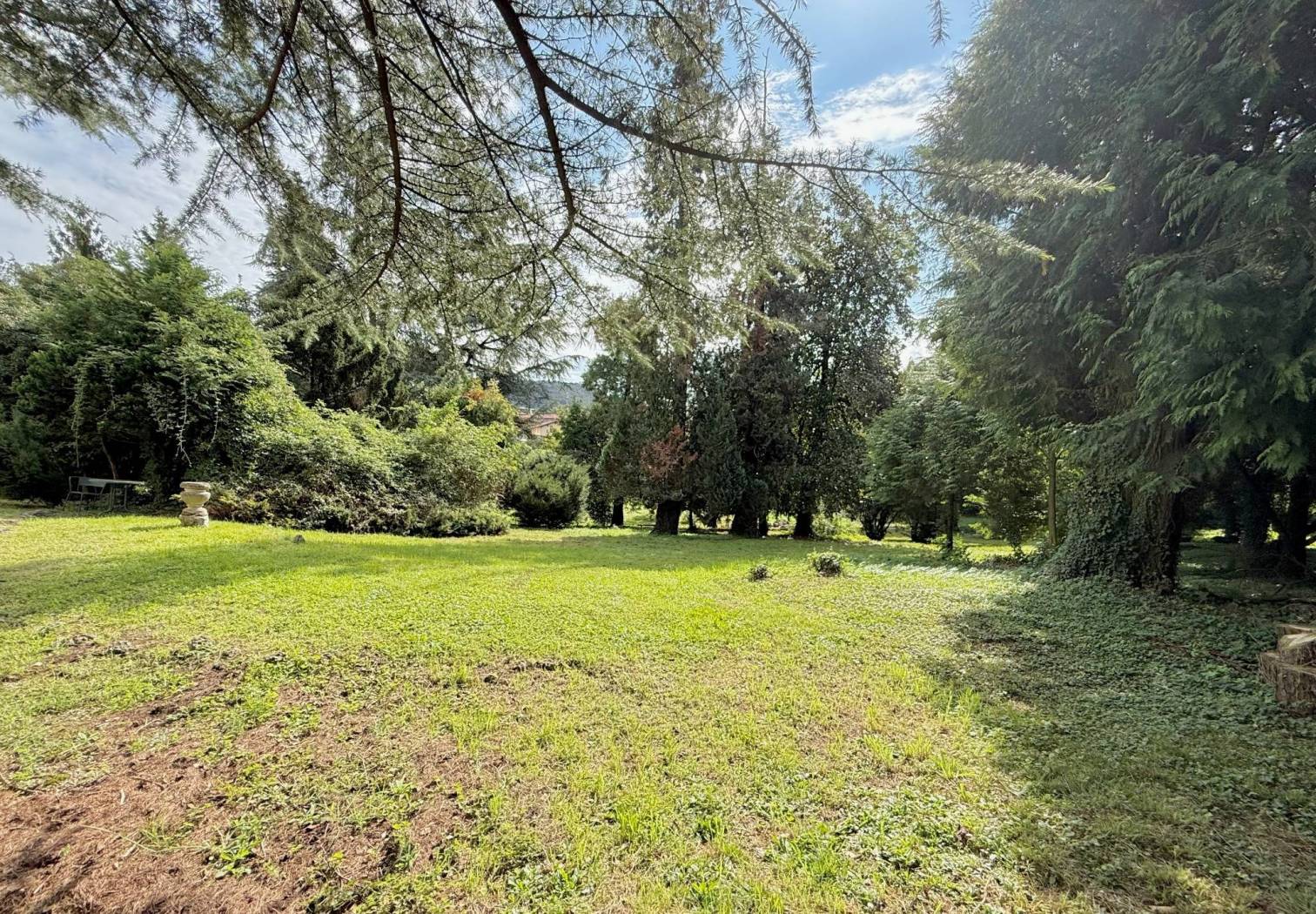 Terreno