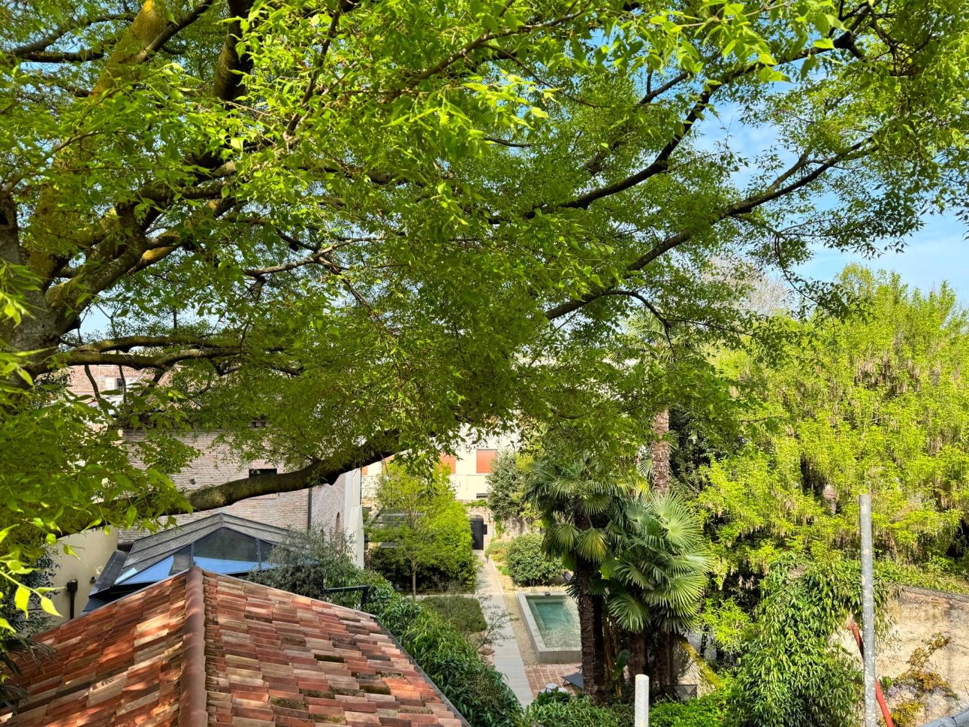 Giardino