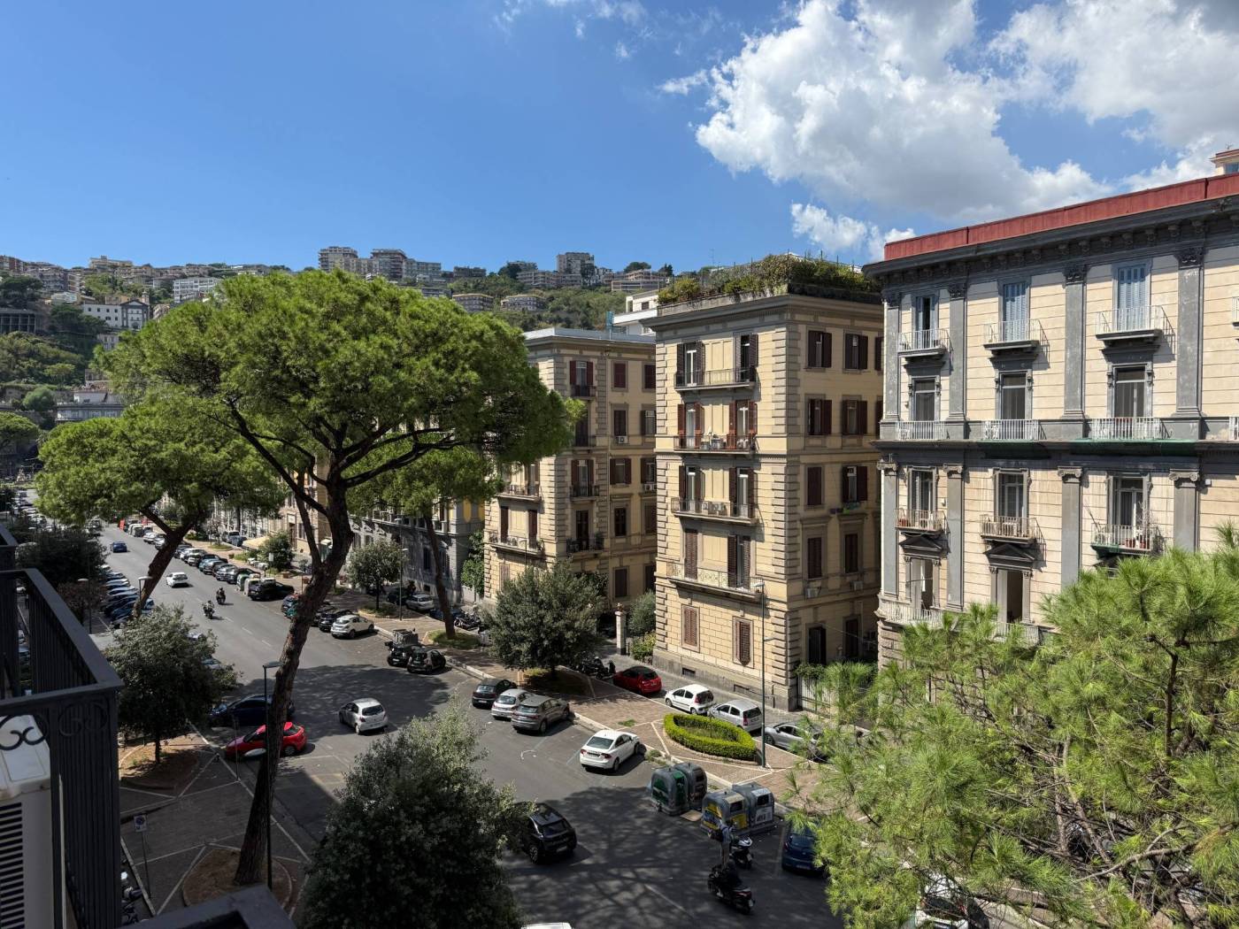 Vista