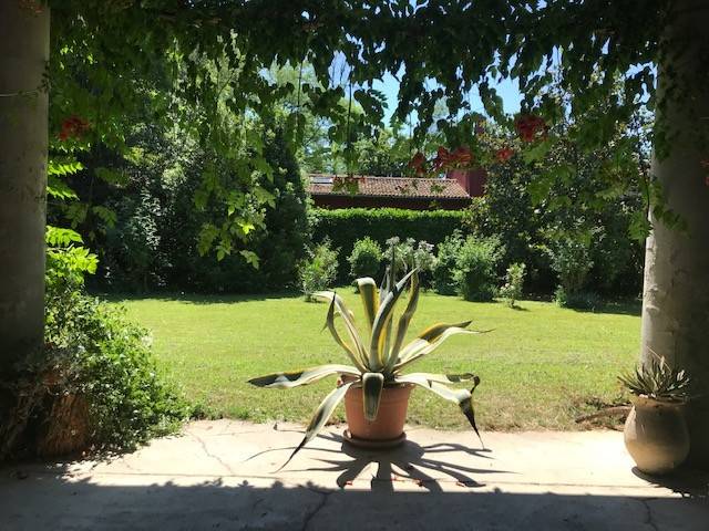 Giardino