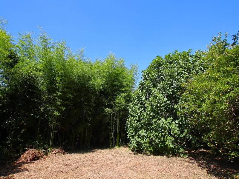 Terreno