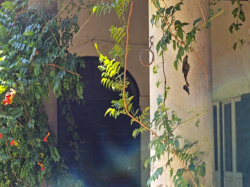 Cortile interno