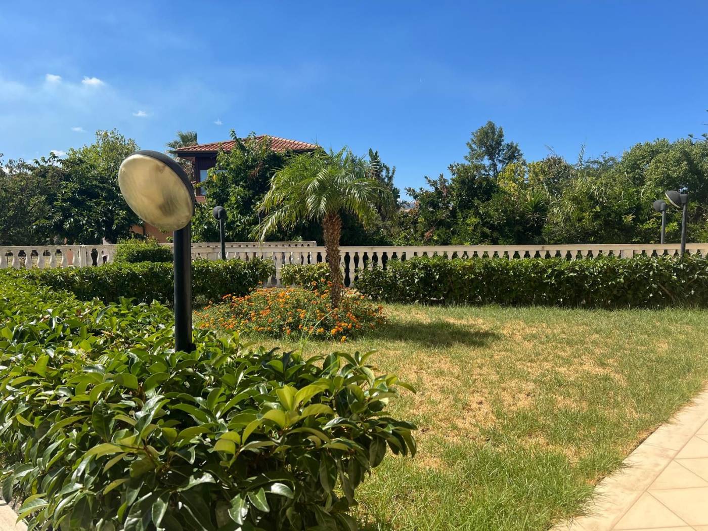Giardino