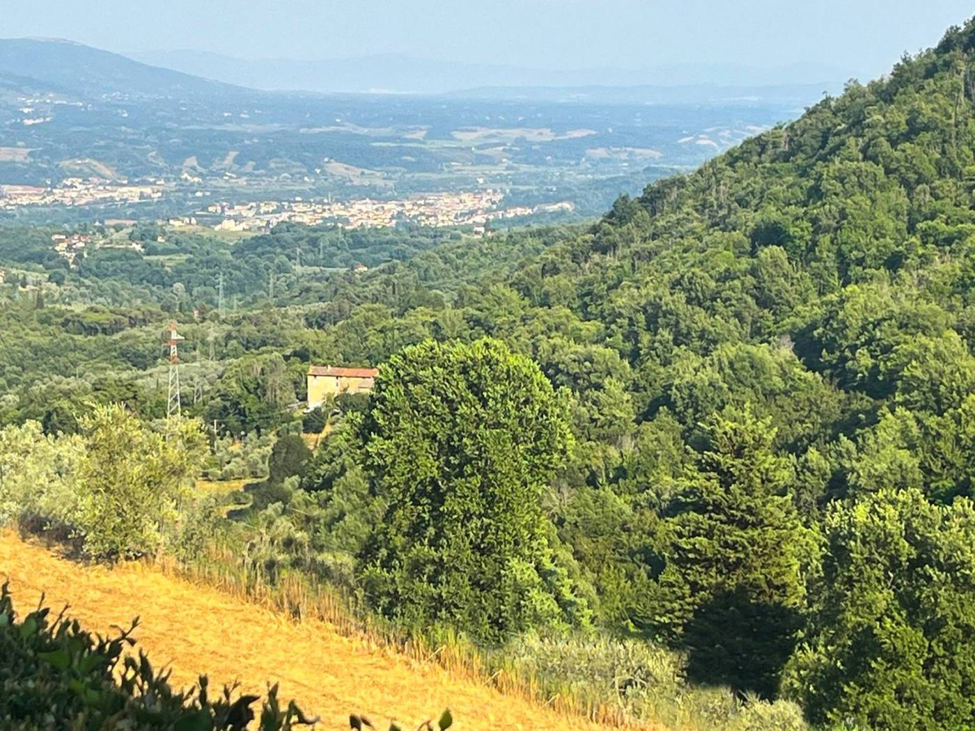 Vista