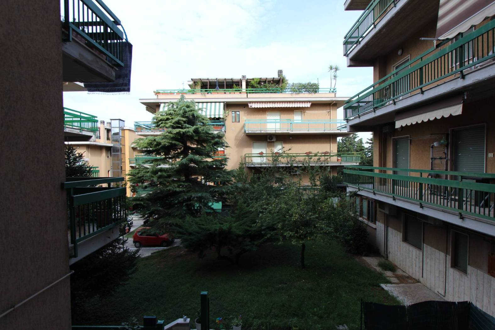 Vista