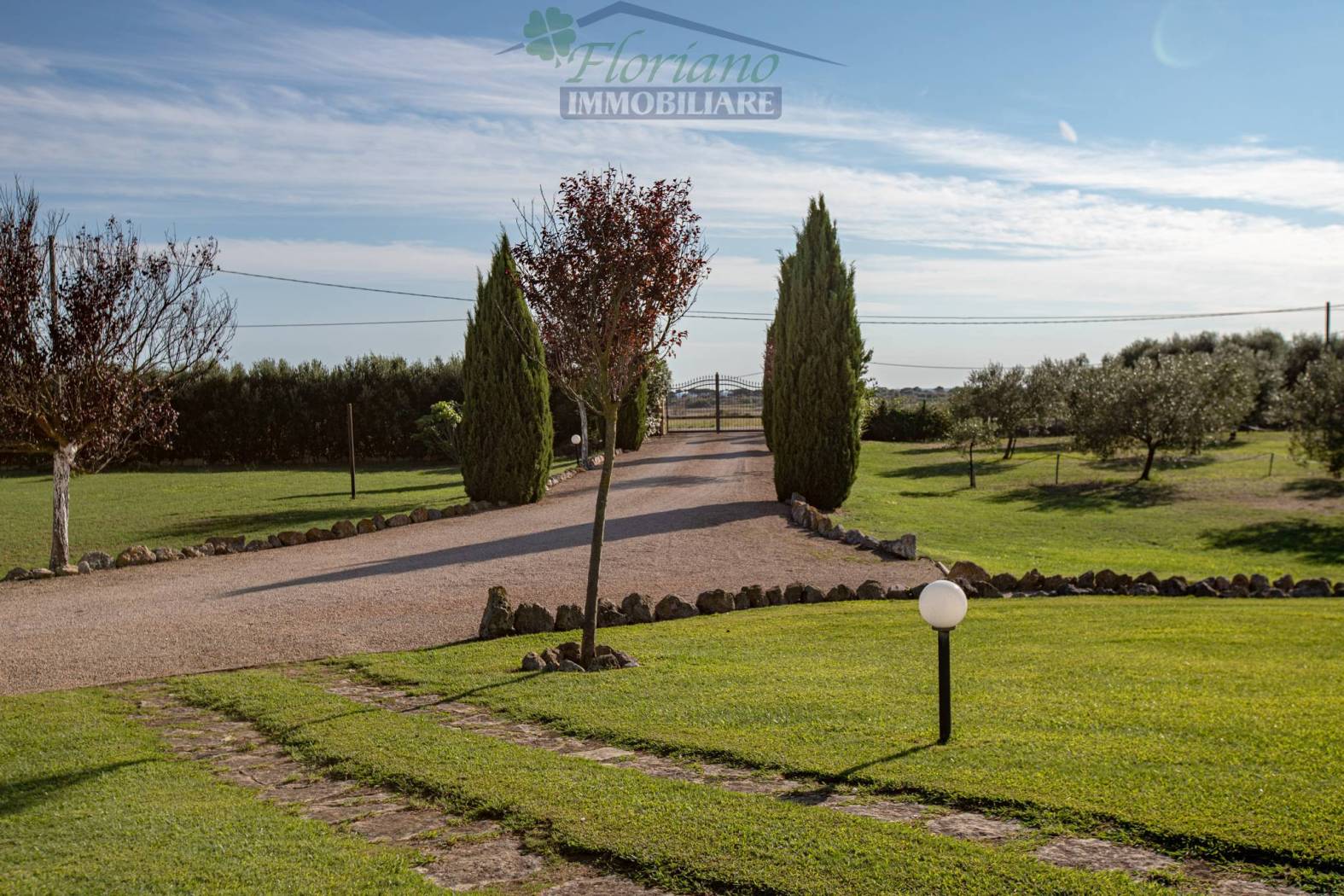 Terreno