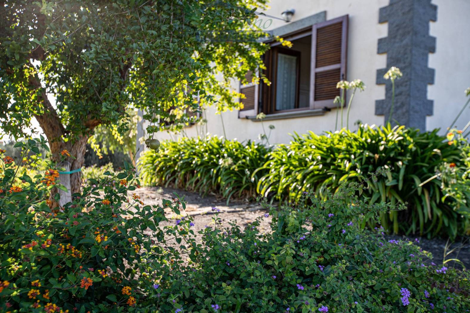 Giardino