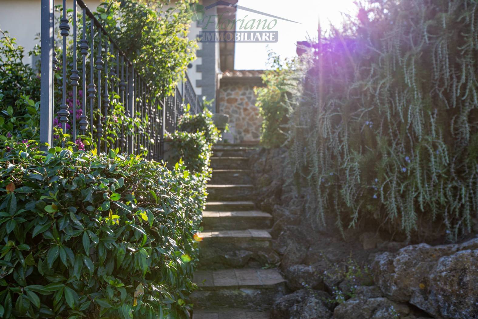 Giardino