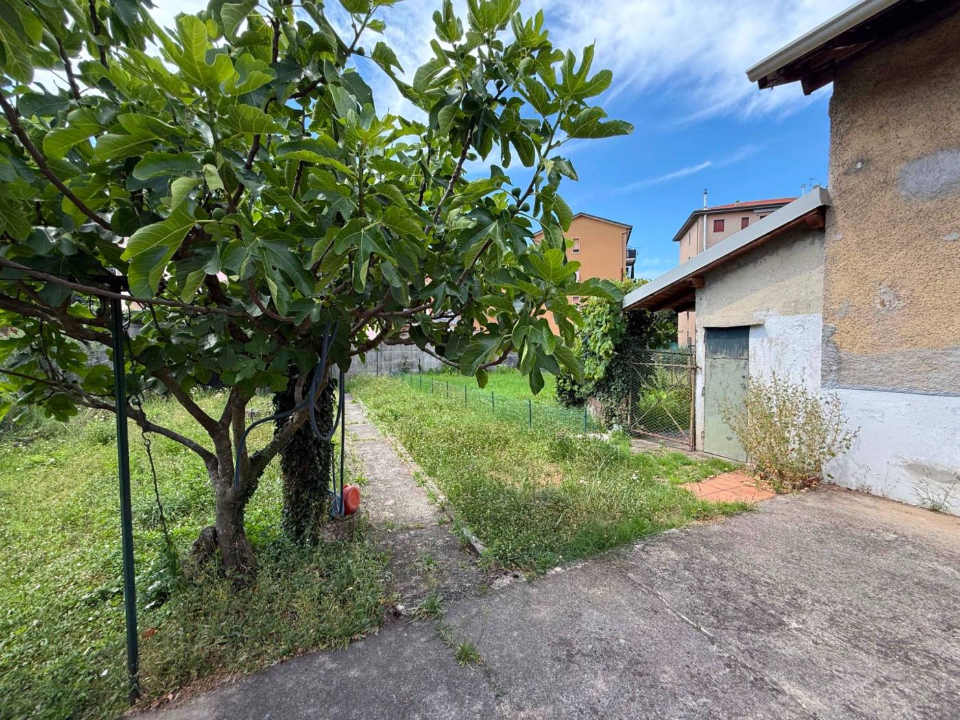 Giardino