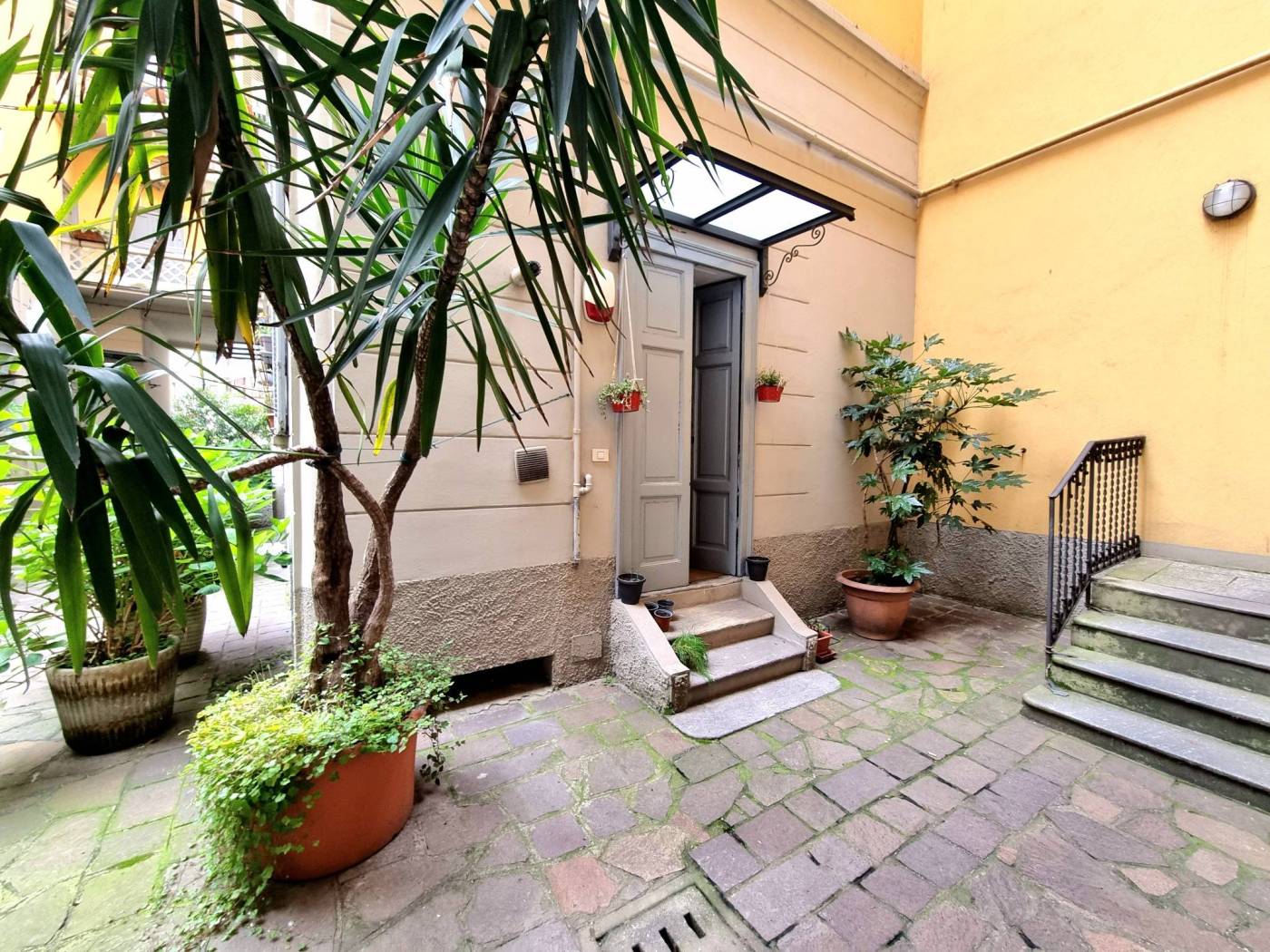 Giardino