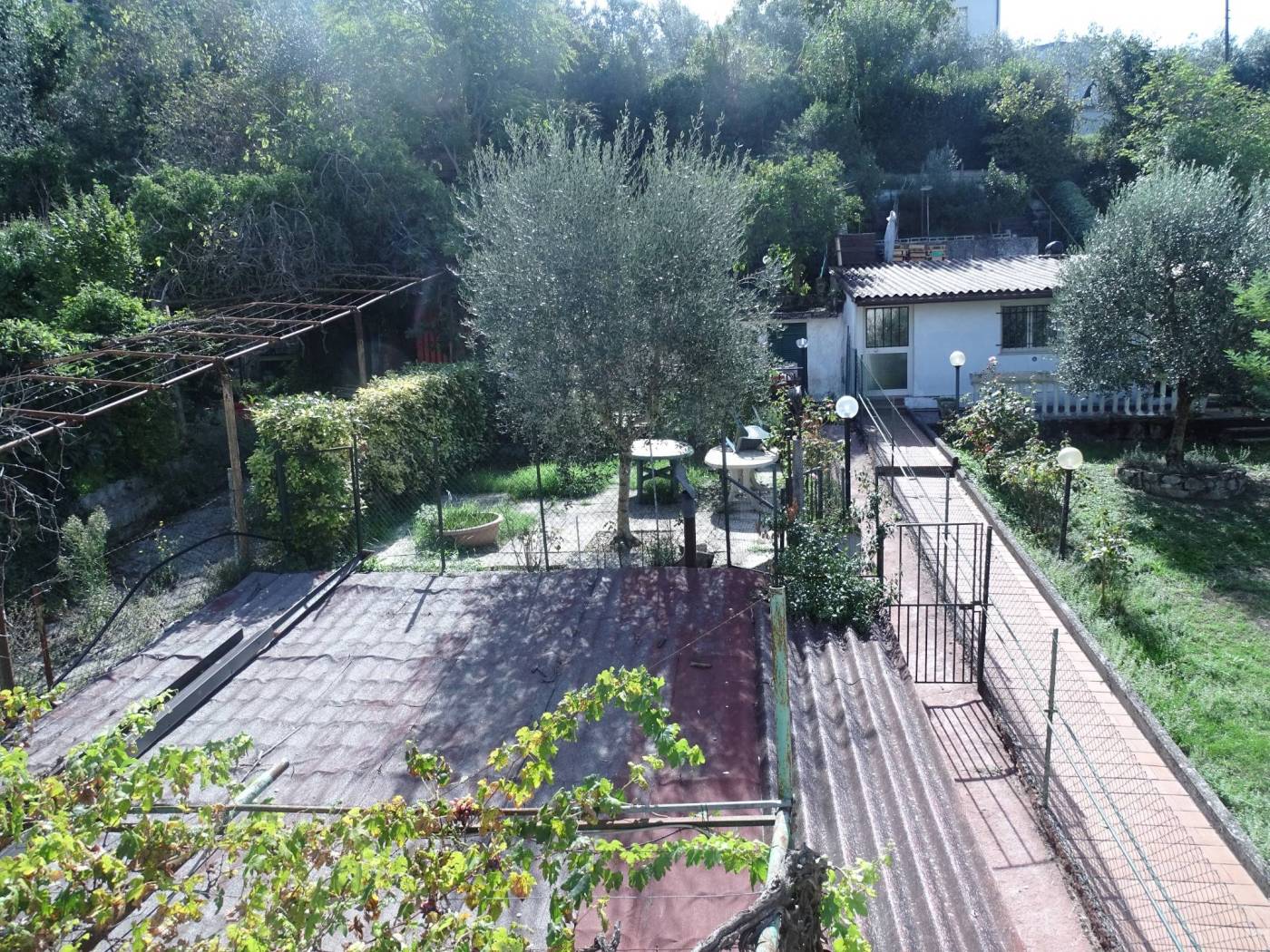 Giardino