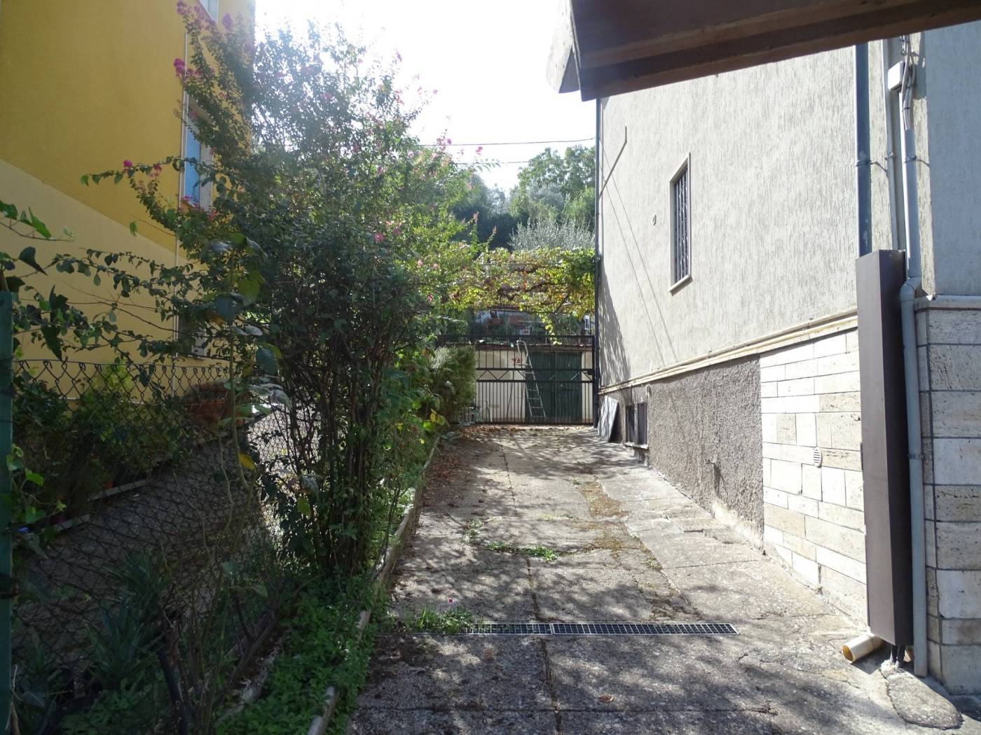 Giardino