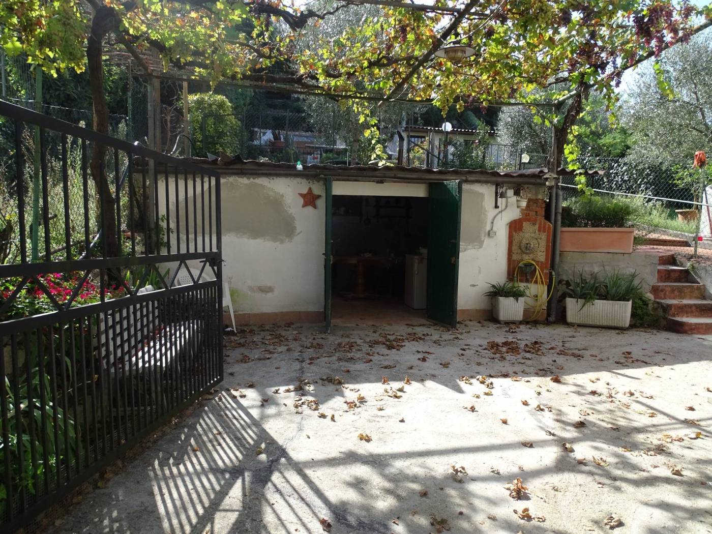Giardino