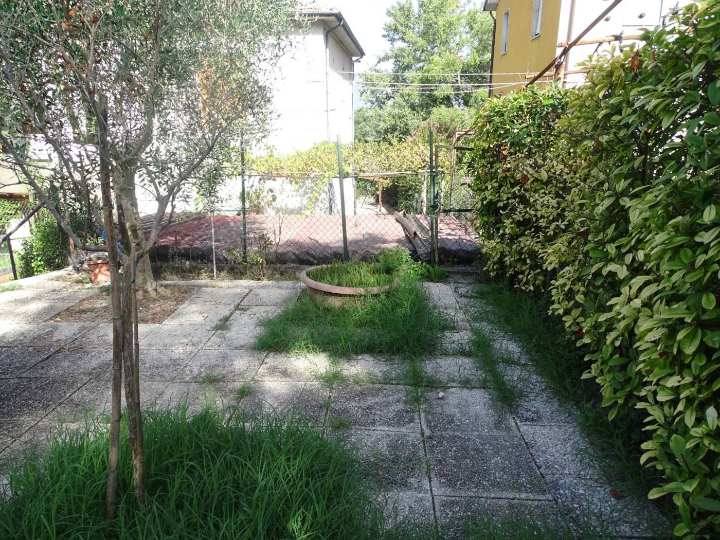 Giardino